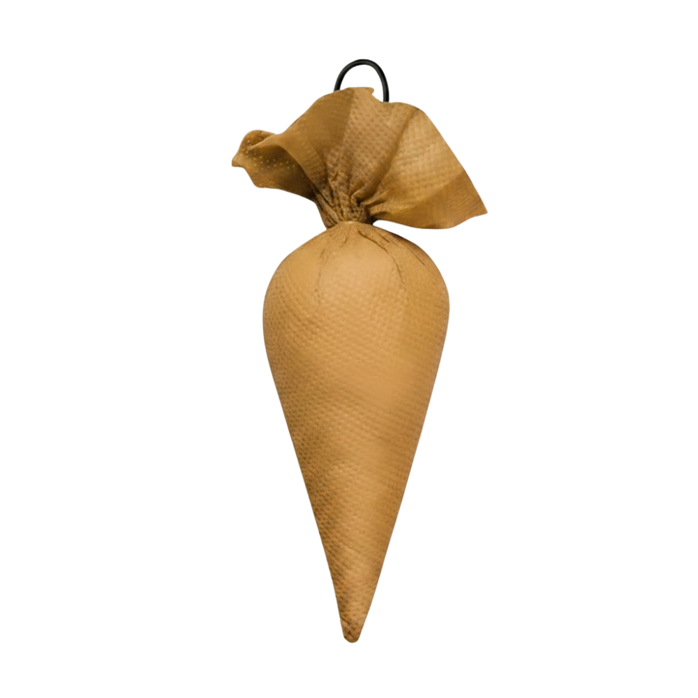 CamPure Cones