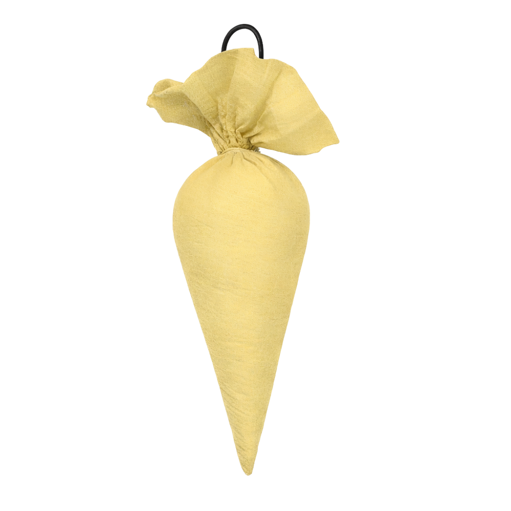 CamPure Cones